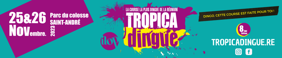 TP-Bandeau Tropica Dingue 2023