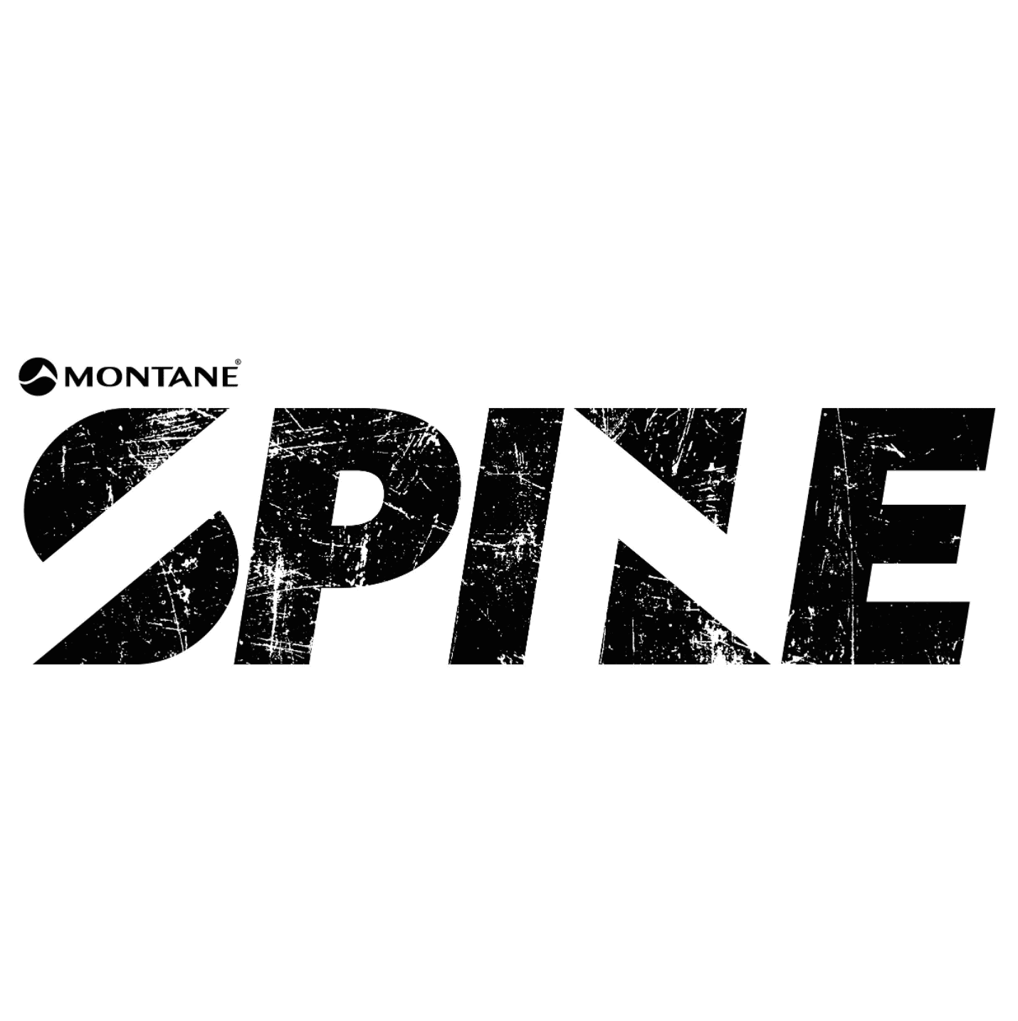 Logo Montane Spin Race