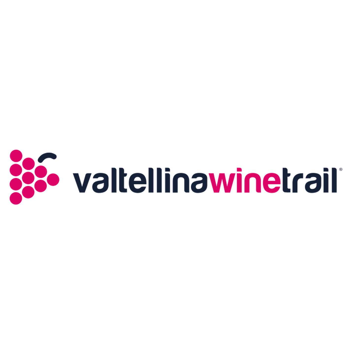 Logo-Valtellina-Wine-Trail